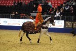 Quadrille - 00045